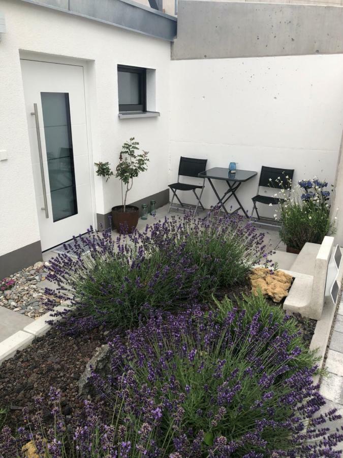 Ferienwohnung No.55 Lörrach Dış mekan fotoğraf
